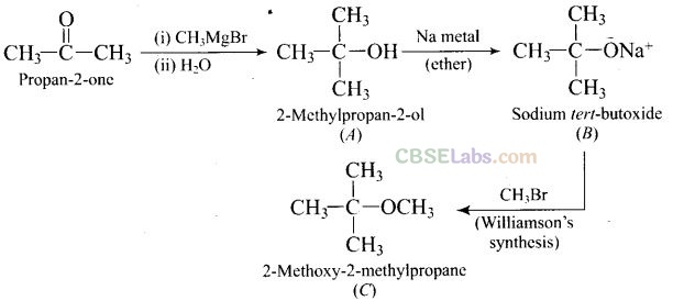 NCERT Exemplar Class 12 Chemistry Chapter 12 Aldehydes, Ketones and Carboxylic Acids Img 45