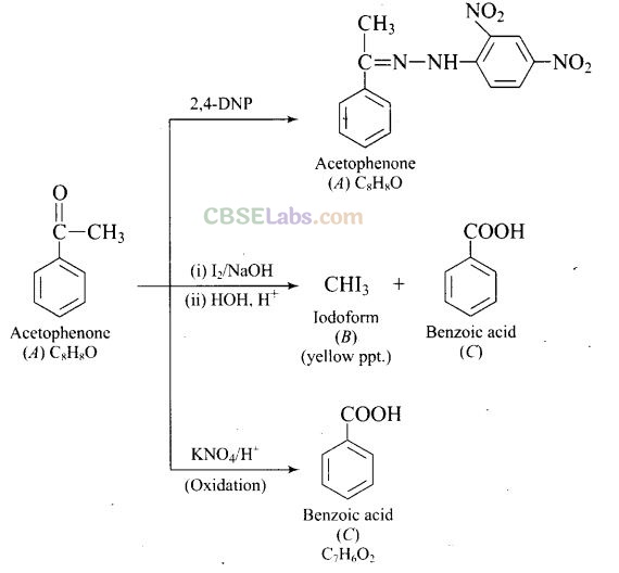NCERT Exemplar Class 12 Chemistry Chapter 12 Aldehydes, Ketones and Carboxylic Acids Img 58