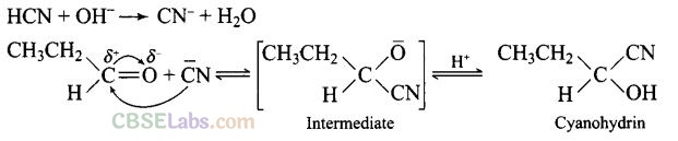 NCERT Exemplar Class 12 Chemistry Chapter 12 Aldehydes, Ketones and Carboxylic Acids Img 60