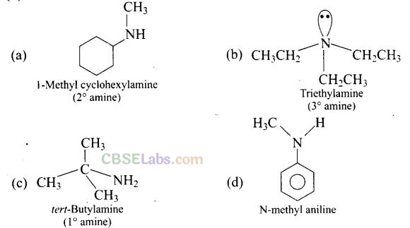 NCERT Exemplar Class 12 Chemistry Chapter 13 Amines Img 1