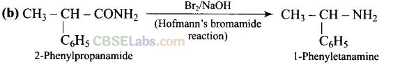 NCERT Exemplar Class 12 Chemistry Chapter 13 Amines Img 11