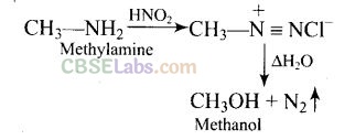 NCERT Exemplar Class 12 Chemistry Chapter 13 Amines Img 16