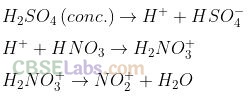 NCERT Exemplar Class 12 Chemistry Chapter 13 Amines Img 17