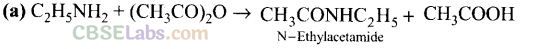 NCERT Exemplar Class 12 Chemistry Chapter 13 Amines Img 20