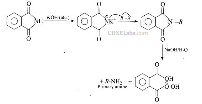 NCERT Exemplar Class 12 Chemistry Chapter 13 Amines Img 23