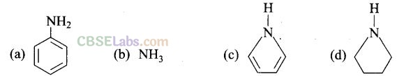 NCERT Exemplar Class 12 Chemistry Chapter 13 Amines Img 25