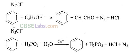 NCERT Exemplar Class 12 Chemistry Chapter 13 Amines Img 31