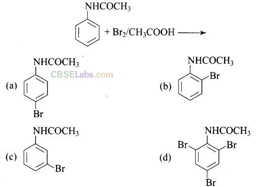 NCERT Exemplar Class 12 Chemistry Chapter 13 Amines Img 32