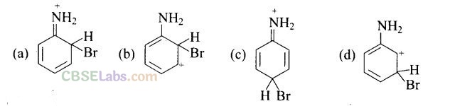 NCERT Exemplar Class 12 Chemistry Chapter 13 Amines Img 34