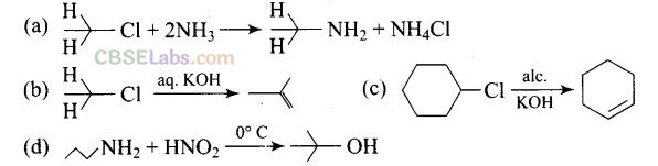 NCERT Exemplar Class 12 Chemistry Chapter 13 Amines Img 37