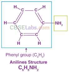 NCERT Exemplar Class 12 Chemistry Chapter 13 Amines Img 4