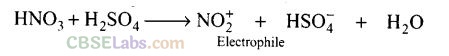 NCERT Exemplar Class 12 Chemistry Chapter 13 Amines Img 40