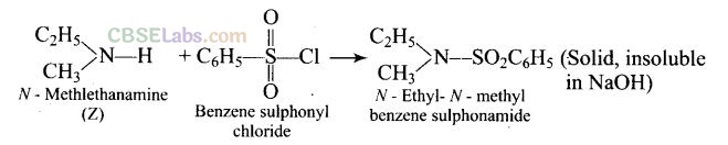 NCERT Exemplar Class 12 Chemistry Chapter 13 Amines Img 50