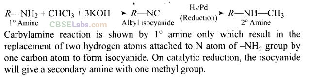 NCERT Exemplar Class 12 Chemistry Chapter 13 Amines Img 51