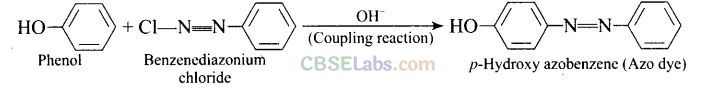 NCERT Exemplar Class 12 Chemistry Chapter 13 Amines Img 53