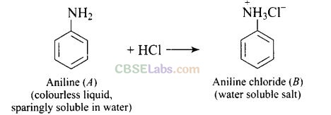 NCERT Exemplar Class 12 Chemistry Chapter 13 Amines Img 54