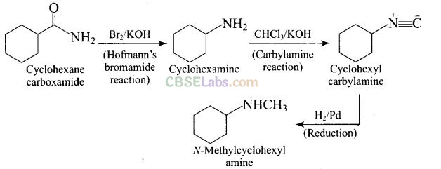 NCERT Exemplar Class 12 Chemistry Chapter 13 Amines Img 56
