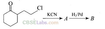 NCERT Exemplar Class 12 Chemistry Chapter 13 Amines Img 57