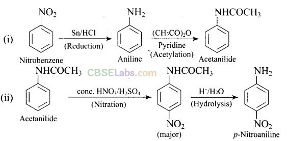 NCERT Exemplar Class 12 Chemistry Chapter 13 Amines Img 60