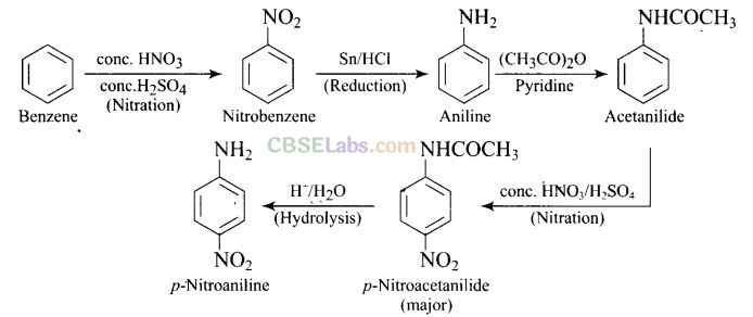 NCERT Exemplar Class 12 Chemistry Chapter 13 Amines Img 65