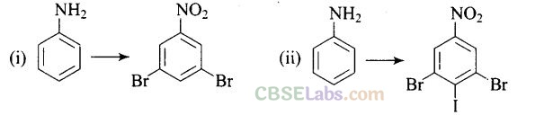 NCERT Exemplar Class 12 Chemistry Chapter 13 Amines Img 68