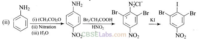 NCERT Exemplar Class 12 Chemistry Chapter 13 Amines Img 70