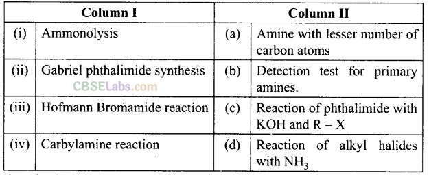 NCERT Exemplar Class 12 Chemistry Chapter 13 Amines Img 71
