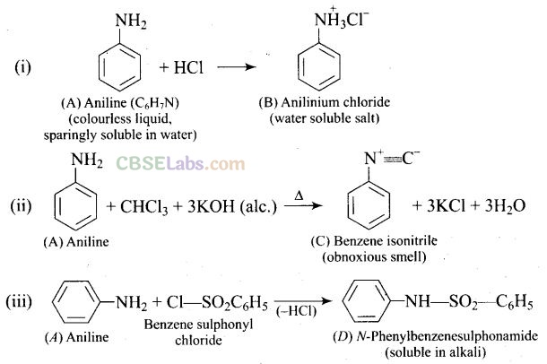 NCERT Exemplar Class 12 Chemistry Chapter 13 Amines Img 78