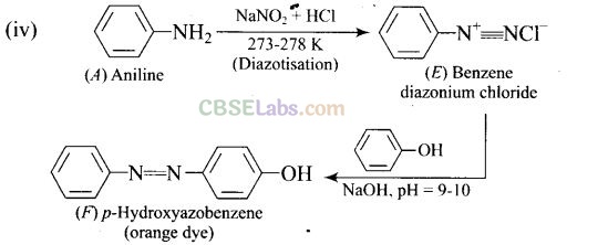 NCERT Exemplar Class 12 Chemistry Chapter 13 Amines Img 79