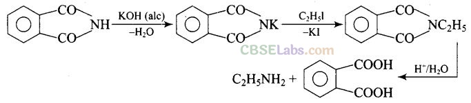 NCERT Exemplar Class 12 Chemistry Chapter 13 Amines Img 8