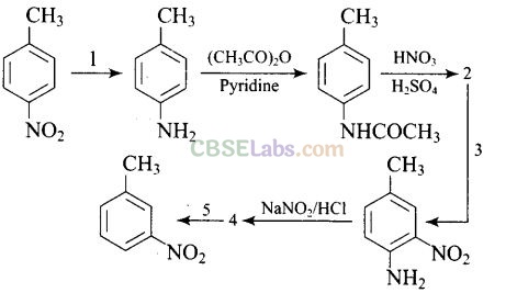 NCERT Exemplar Class 12 Chemistry Chapter 13 Amines Img 80