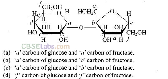 NCERT Exemplar Class 12 Chemistry Chapter 14 Biomolecules Img 11