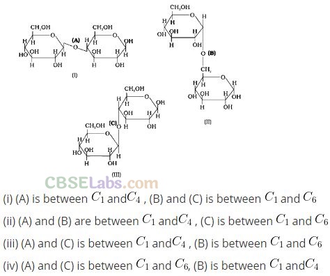 NCERT Exemplar Class 12 Chemistry Chapter 14 Biomolecules Img 12