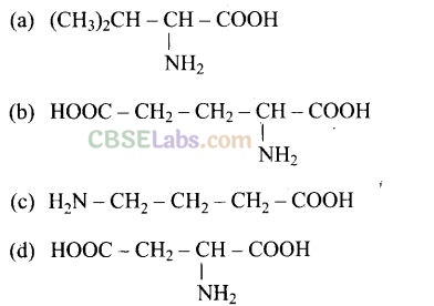 NCERT Exemplar Class 12 Chemistry Chapter 14 Biomolecules Img 13