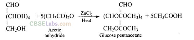 NCERT Exemplar Class 12 Chemistry Chapter 14 Biomolecules Img 25