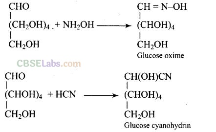 NCERT Exemplar Class 12 Chemistry Chapter 14 Biomolecules Img 32