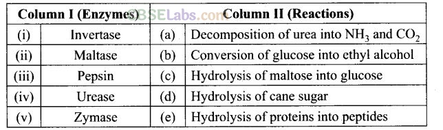 NCERT Exemplar Class 12 Chemistry Chapter 14 Biomolecules Img 38