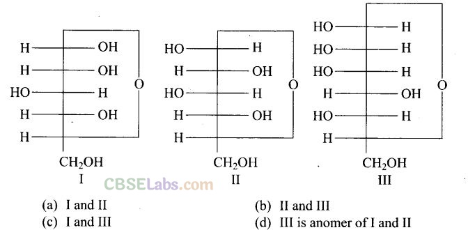 NCERT Exemplar Class 12 Chemistry Chapter 14 Biomolecules Img 9