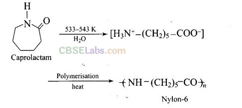 NCERT Exemplar Class 12 Chemistry Chapter 15 Polymers Img 10
