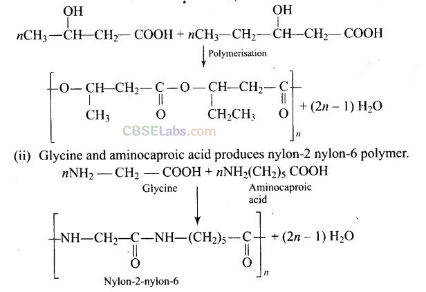 NCERT Exemplar Class 12 Chemistry Chapter 15 Polymers Img 13