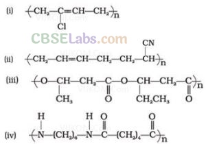 NCERT Exemplar Class 12 Chemistry Chapter 15 Polymers Img 2