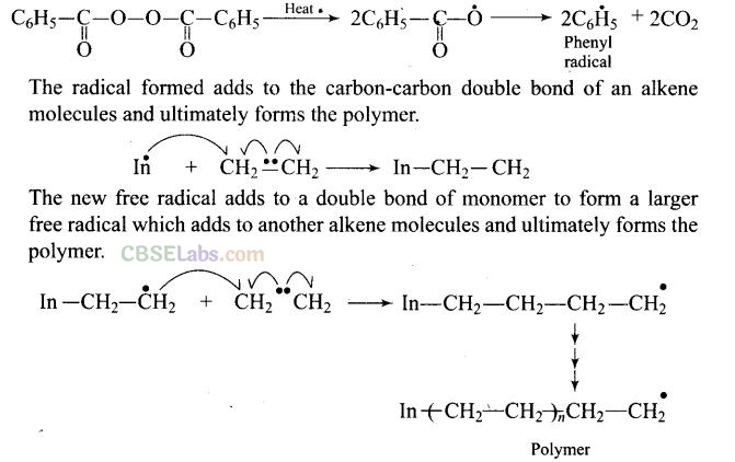 NCERT Exemplar Class 12 Chemistry Chapter 15 Polymers Img 22