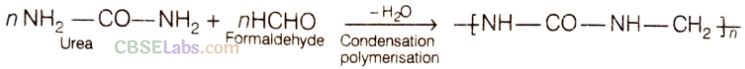 NCERT Exemplar Class 12 Chemistry Chapter 15 Polymers Img 23