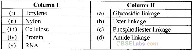 NCERT Exemplar Class 12 Chemistry Chapter 15 Polymers Img 29