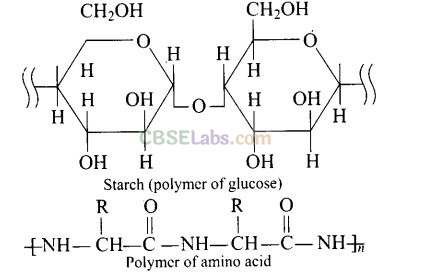 NCERT Exemplar Class 12 Chemistry Chapter 15 Polymers Img 32