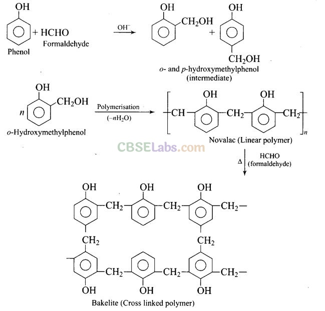 NCERT Exemplar Class 12 Chemistry Chapter 15 Polymers Img 33