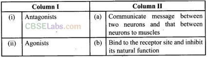 NCERT Exemplar Class 12 Chemistry Chapter 16 Chemistry in Everyday Life Img 15