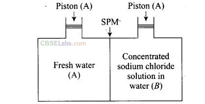 NCERT Exemplar Class 12 Chemistry Chapter 2 Solution Img 6