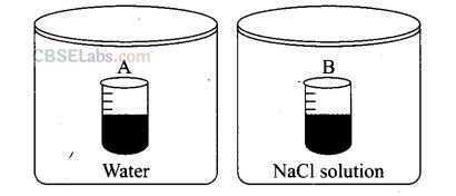 NCERT Exemplar Class 12 Chemistry Chapter 2 Solution Img 8