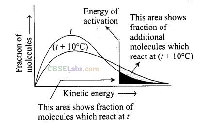 NCERT Exemplar Class 12 Chemistry Chapter 4 Chemical Kinetics Img 26